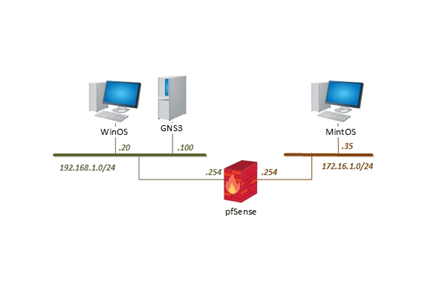 Series 1 Topology